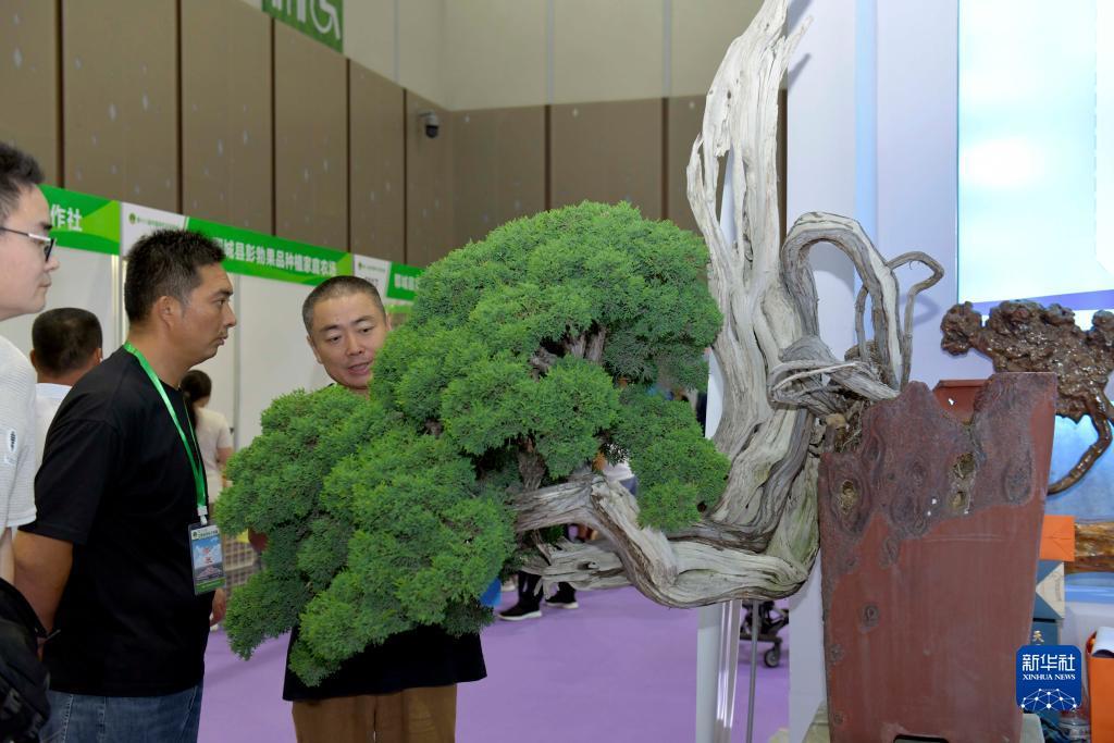 威尼斯注册送28
